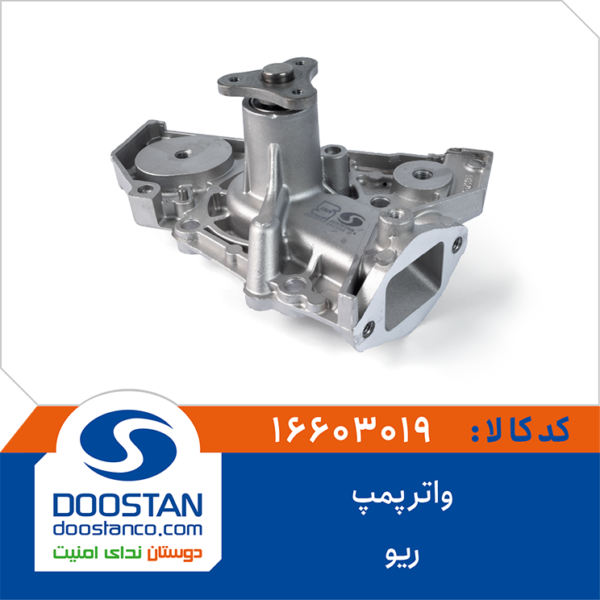 واتر پمپ ریو DOOSTAN