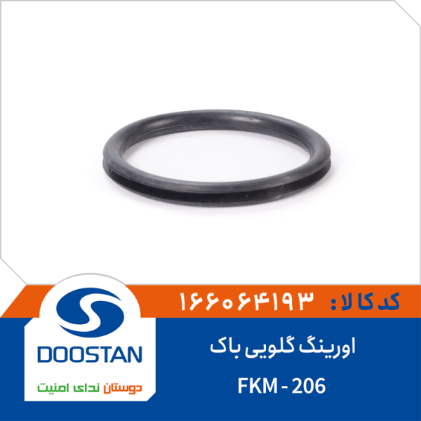 اورینگ گلویی باک 206 -FKM