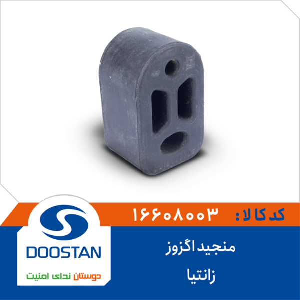 منجید اگزوز زانتیا