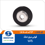 فولی میل لنگ زانتیا