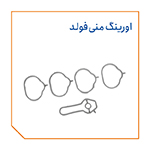 اورینگ منی فولد