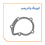 اورینگ واتر پمپ